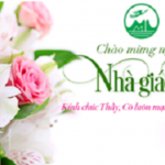 nha_giao_vn